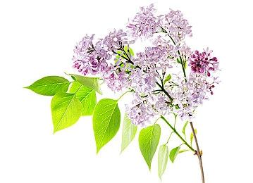 《异星探险家》首个付费DLC Glitchwalkers公布